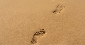 traces de pas sur le sable